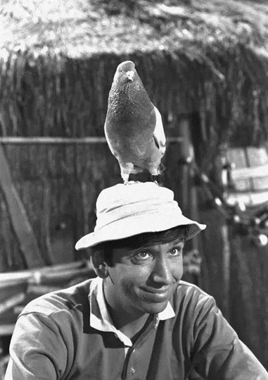 sombreros de pescador, también llamados sombreros de cubo