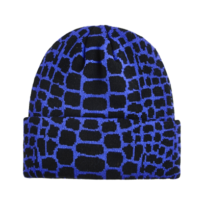 Two-Tone Jacquard Knit Cuffed Beanies BB-231017-5 (2)