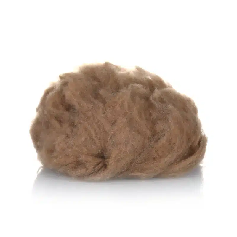 poil de chameau