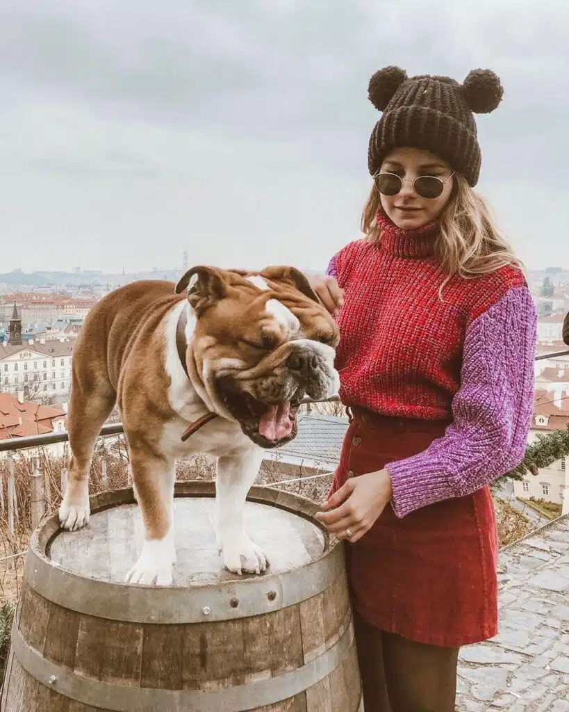bonnet en tricot