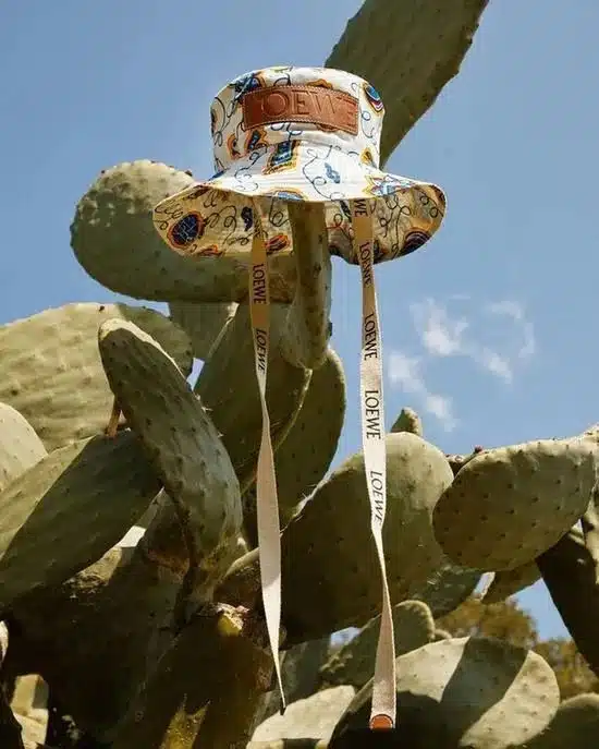 Loewe Paula's Ibiza