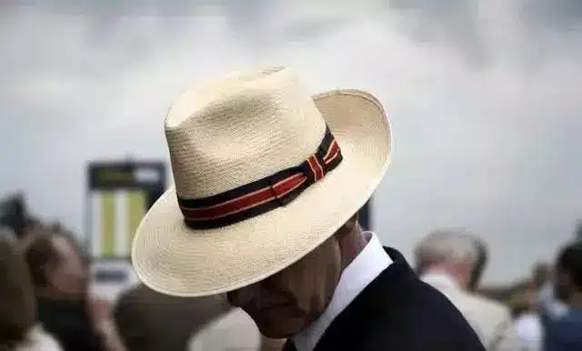 Panamahut
