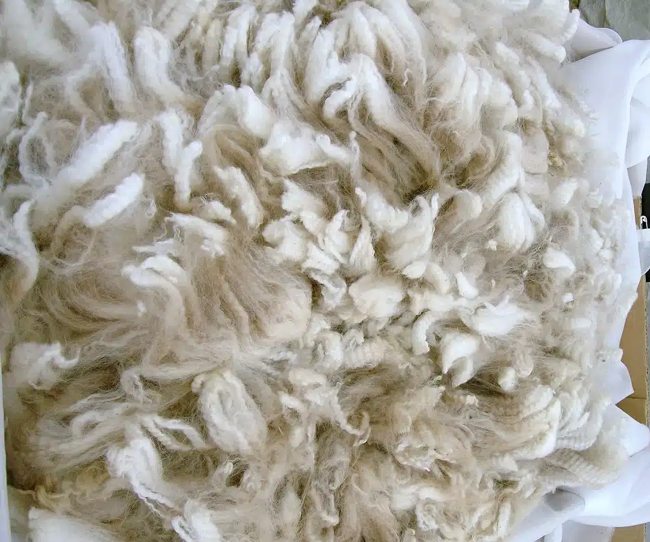 fibre de laine