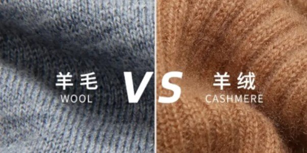 wool or cashmere