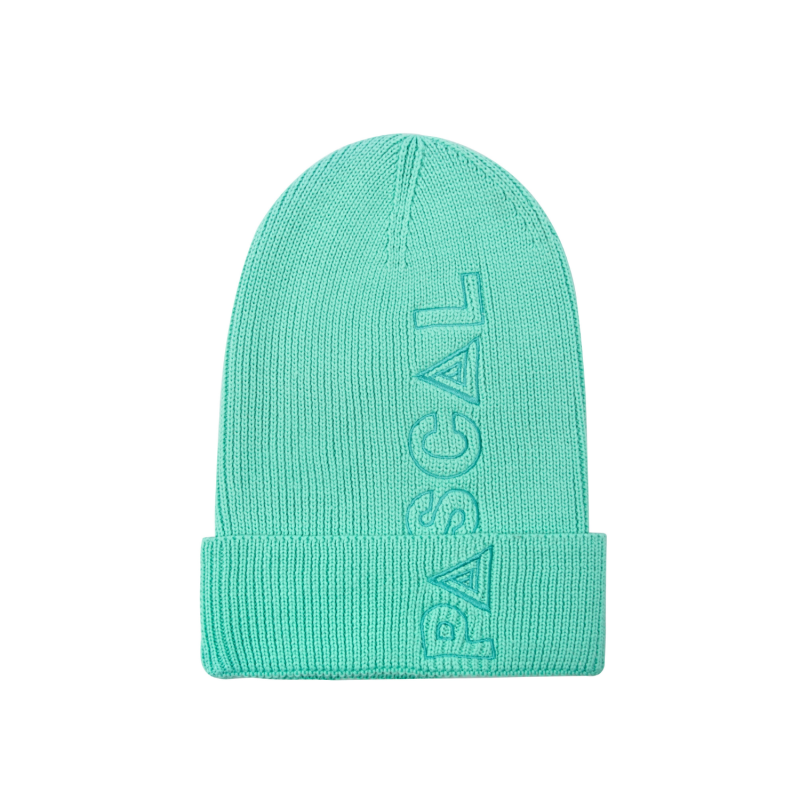 Custom Embroidered Cuffed Slouchy Beanies - cyan BB-231017-8