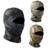 Ski Mask