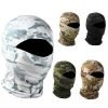 Ski Mask