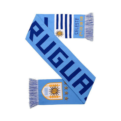 Winter Seamless Knit Tassel Blue Scarf Wa2410-01 (1)