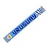 Winter Seamless Knit Tassel Blue Scarf Wa2410-01 (2)