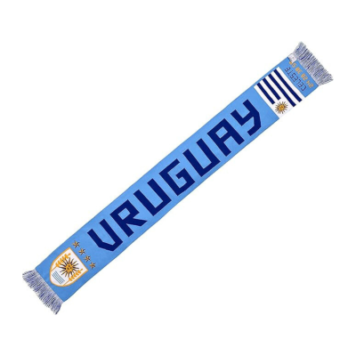 Winter Seamless Knit Tassel Blue Scarf Wa2410-01 (2)