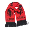 Individuell gestaltete Jacquard-Fußball-Barschals Wa2410-06 (2)