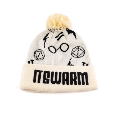 Custom Embroidery logo Acrylic Pom Pom Beanie
