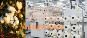 Cotton Production Rise: Exclusive Industry Insights from Aungwiner
