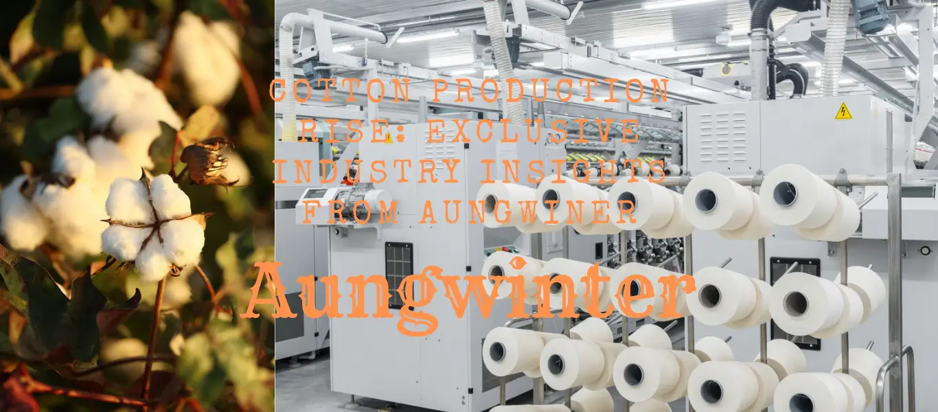 Cotton Production Rise: Exclusive Industry Insights from Aungwiner