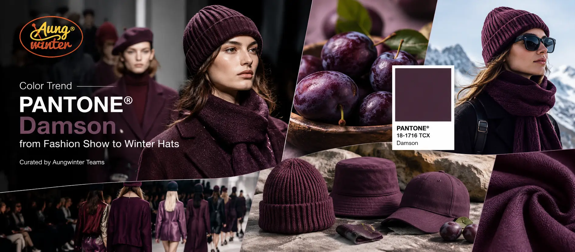 PANTONE Damson Trend